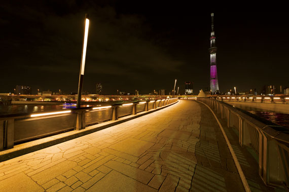 Sakura Bridge