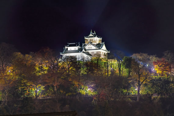 Echizen Ono Castle
