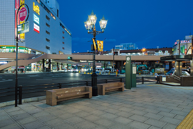 Sendai Station West Exit Gas Lamp | Road Lighting Roads | Projects 